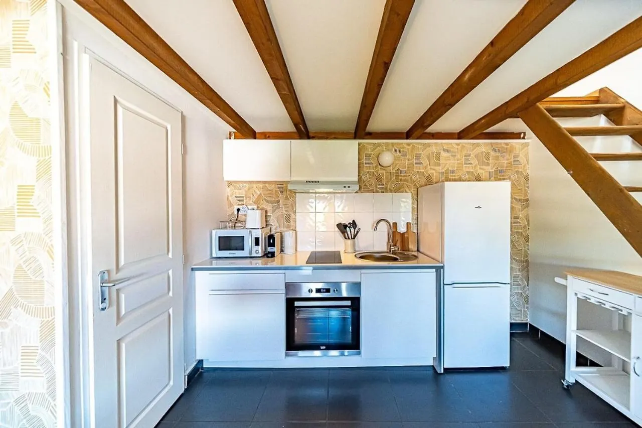 Apartment With Mezzanine Cusset District Villeurbanne France
